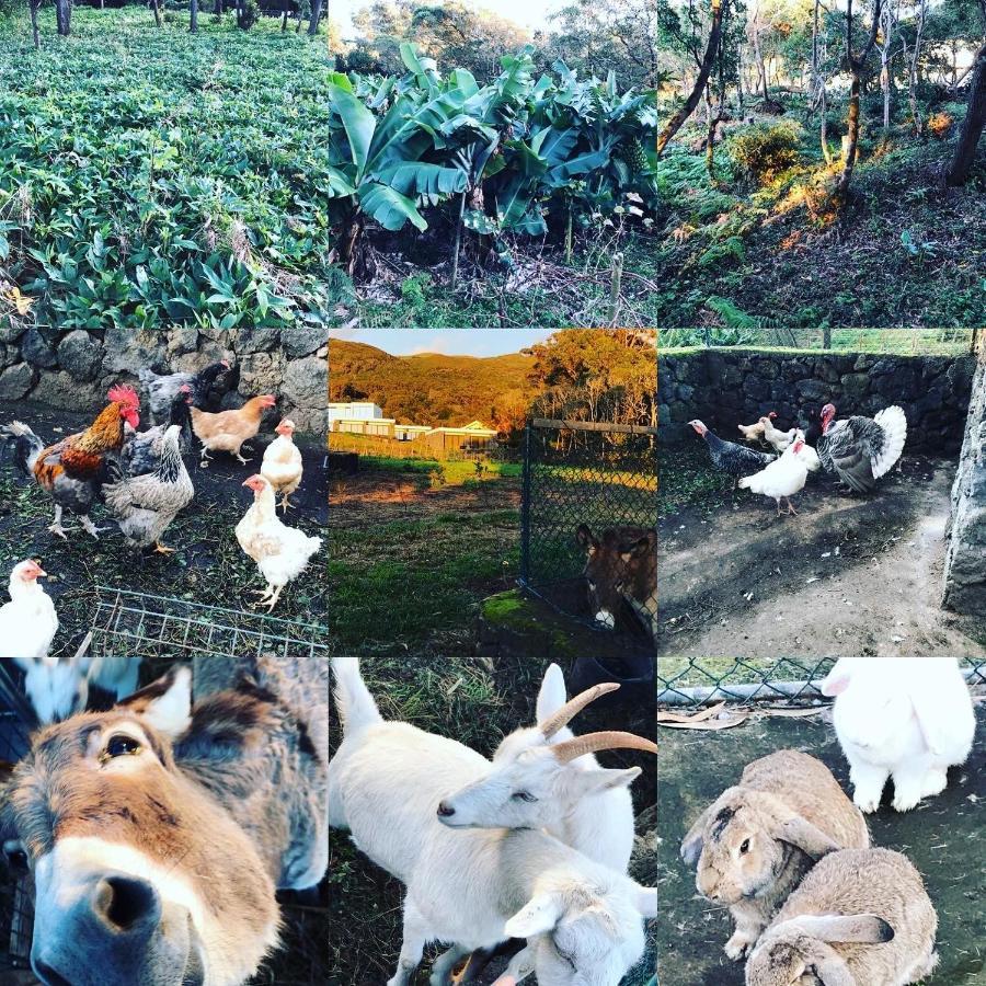 Willa Make It Happen Farm Urzelina Zewnętrze zdjęcie